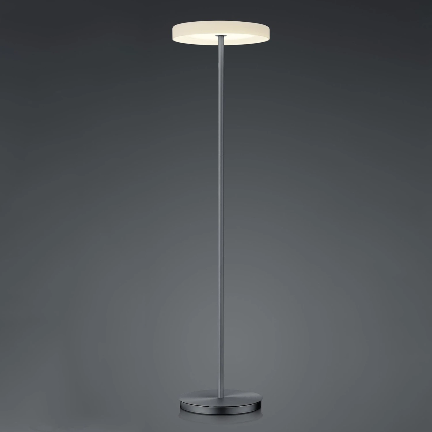 BANKAMP Button Lampadaire LED Variateur Anthracite